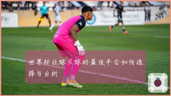 世界杯让球买球的最佳平台如何选择与分析