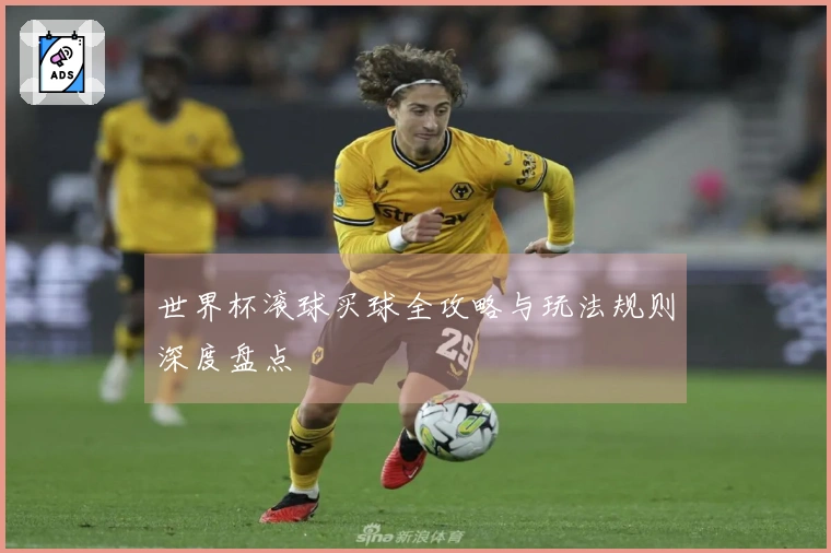 世界杯滚球买球全攻略与玩法规则深度盘点