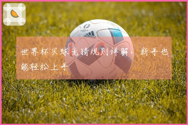 世界杯买球竞猜规则详解，新手也能轻松上手