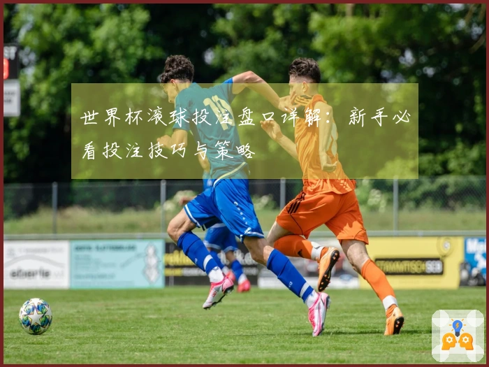 世界杯滚球投注盘口详解：新手必看投注技巧与策略