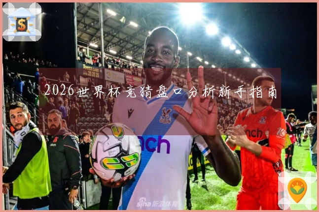 2026世界杯竞猜盘口分析新手指南