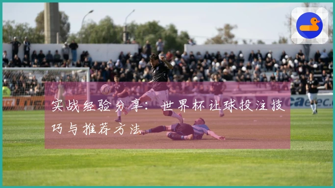 实战经验分享：世界杯让球投注技巧与推荐方法